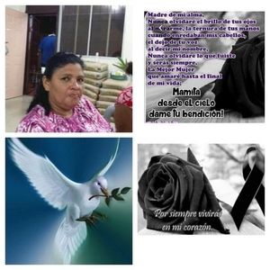 Meet your Posher, Antonela vulnes